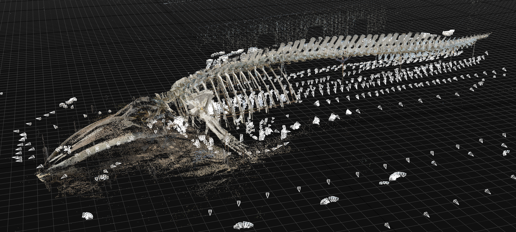 Ms. Blue - RTC360 - Point Cloud Point cloud