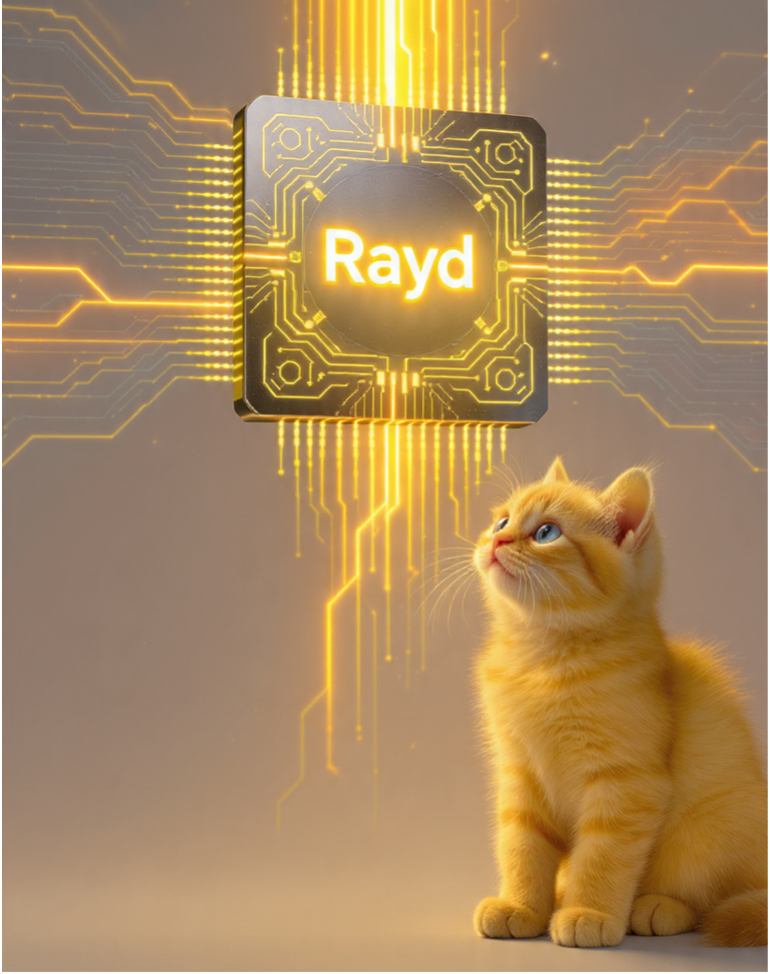 Rayd