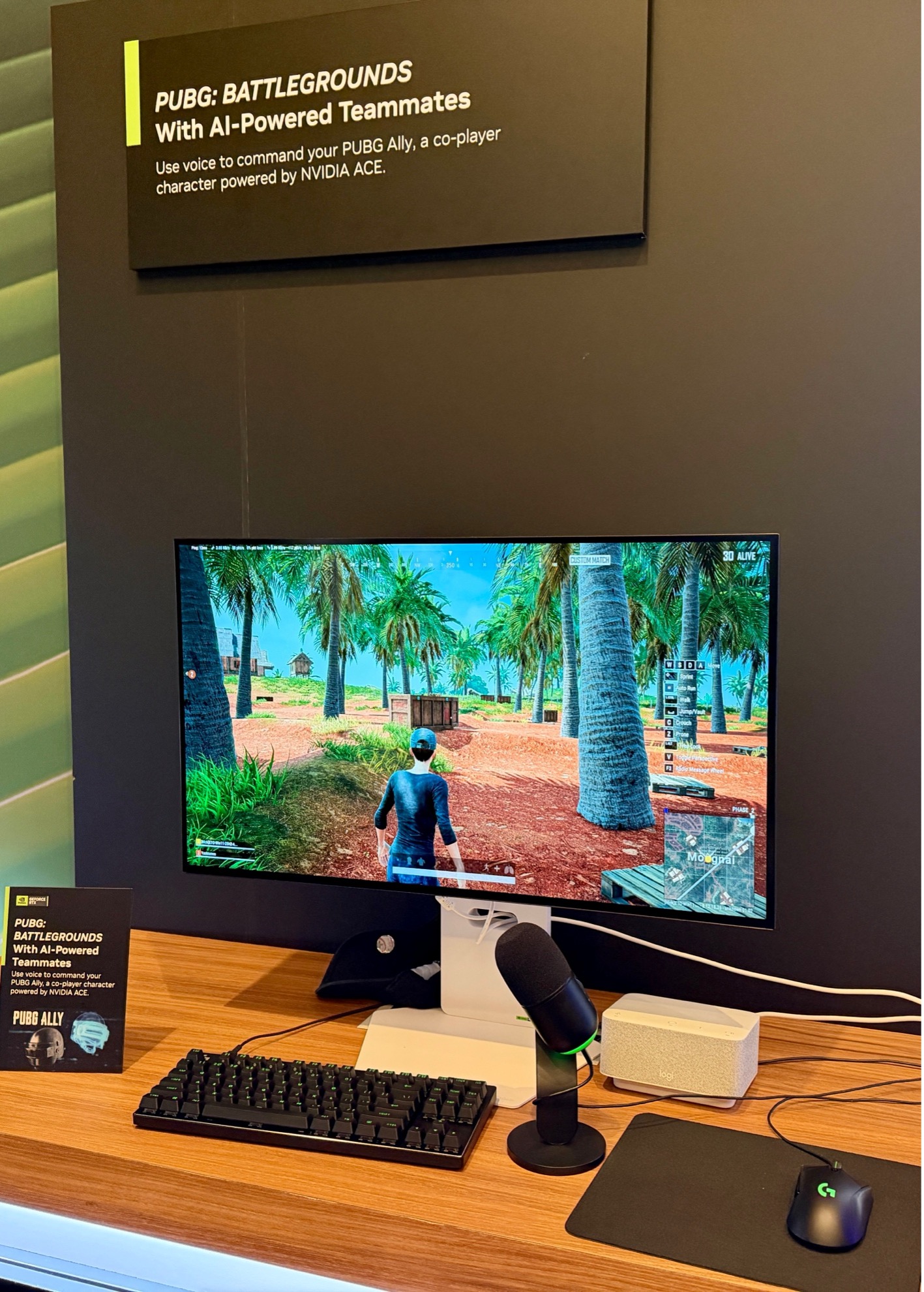 nn9 PUBG's NPGsd and squadmates