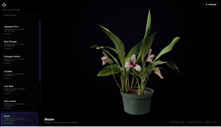 3D asset processed in Miris